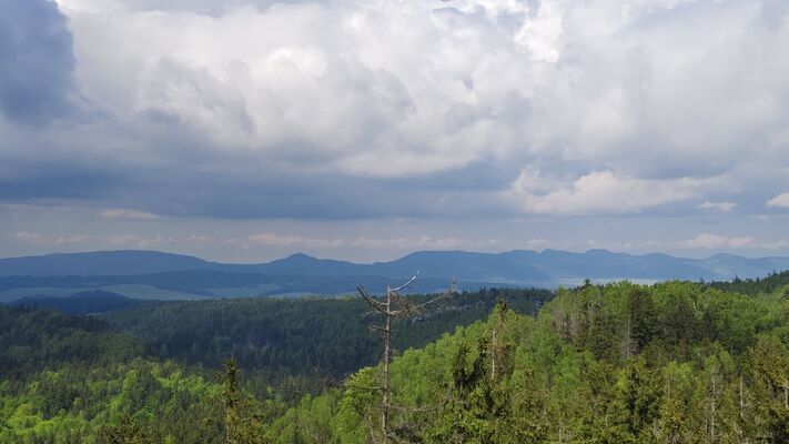 Teplice nad Metují, 20.5.2025
Vrch Čáp, pohled na Javoří hory.
Klíčová slova: Teplice nad Metují Teplické skály Skály vrch Čáp