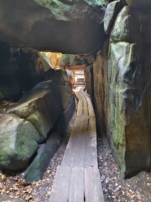 Karlów, 20.9.2025
Velká Hejšovina, cesta na jižní terasy.
Klíčová slova: Karlów Stolové hory Góry Stołowe Velká Hejšovina Szczeliniec Wielki