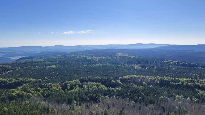 Karlów, 20.9.2025
Velká Hejšovina, pohled Hrubý Jeseník a Králický Sněžník.
Keywords: Karlów Stolové hory Góry Stołowe Velká Hejšovina Szczeliniec Wielki