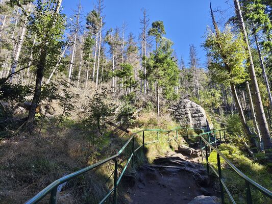 Karlów, 20.9.2025
Cesta z Velké Hejšoviny do Karlówa.
Klíčová slova: Karlów Stolové hory Góry Stołowe Velká Hejšovina Szczeliniec Wielki Ampedus karpathicus