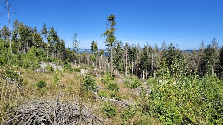 Pasterka, 20.9.2025
Skalniak, severní svah, Zielona droga.
Klíčová slova: Radków Pasterka Bor Skalniak