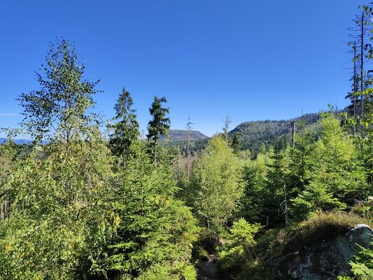Pasterka, 20.9.2025
Skalniak, Ptasia Skała - pohled na Hejšovinu.
Klíčová slova: Radków Pasterka Bor Skalniak