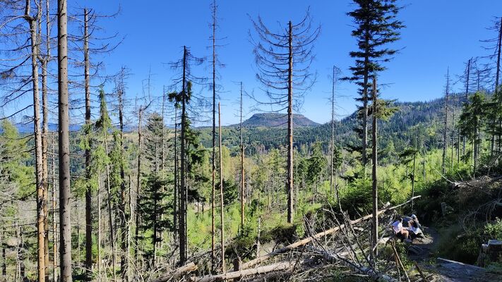 Pasterka, 20.9.2025
Skalniak, Ptasia Skała - pohled na Hejšovinu.
Klíčová slova: Radków Pasterka Stolové hory Góry Stołowe Bor Skalniak