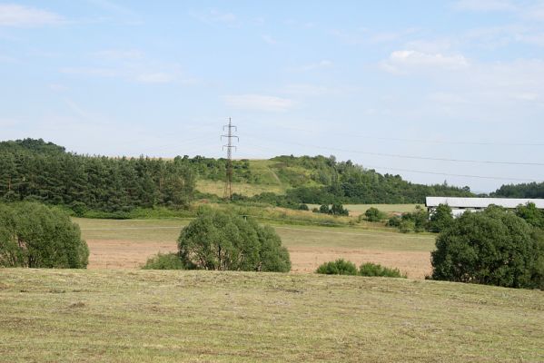 Častolovice - vrch Strýc, 26.7.2008
Pohled na západní okraj vrchu Strýc ze silnice od Častolovic - Podchlumí
Keywords: Častolovice vrch Strýc