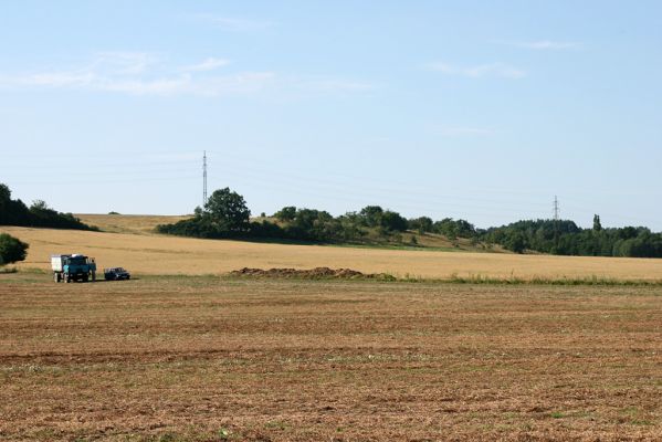 Častolovice - vrch Strýc - Paseky, 26.7.2008
Pohled z jihu na jihovýchodní svahy pod obcí Paseky, na starý ovocný sad .
Schlüsselwörter: Častolovice vrch Strýc Paseky sad