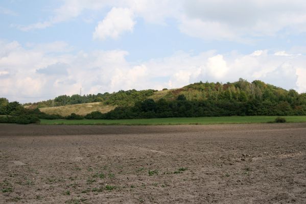 Častolovice - vrch Strýc, 11.9.2008
Vrch Strýc od jihozápadu.
Klíčová slova: Častolovice vrch Strýc