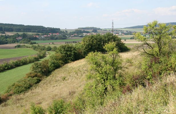 Častolovice - vrch Strýc, 11.9.2008
Stepi a remízky na jihozápadních svazích vrchu Strýc. Pohled k severu k obci Olešnice. 
Klíčová slova: Častolovice vrch Strýc step Olešnice