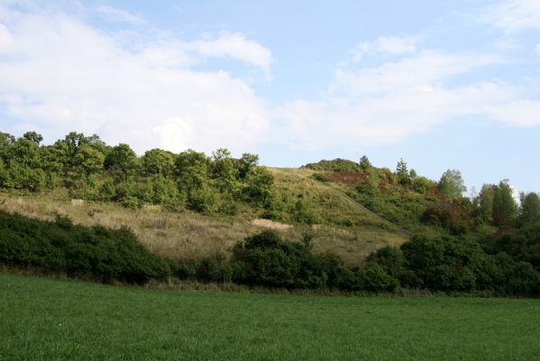 Častolovice - vrch Strýc, 11.9.2008
Stepi na jihozápadních svazích vrchu Strýc. Pohled z polní cesty od obce Olešnice. 
Schlüsselwörter: Častolovice vrch Strýc step