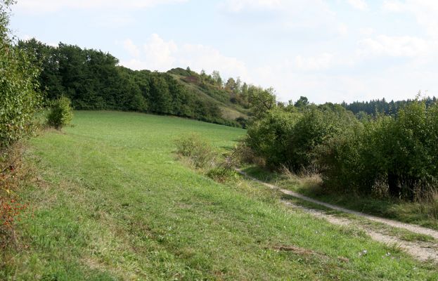 Častolovice - vrch Strýc, 11.9.2008
Vrch Strýc od severozápadu. Na okrajích cesty a remízků se také dochovala poměrně pestrá bylinná skladba. Polní cesta od obce Olešnice.
Klíčová slova: Častolovice vrch Strýc