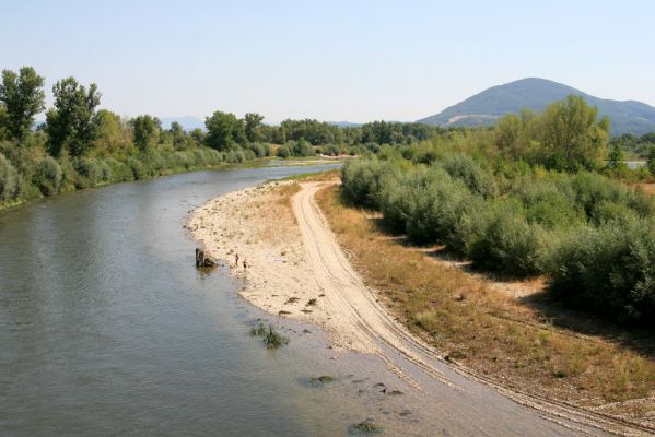 Ilava, 6.8.2013
Štěrkové náplavy Váhu západně od Ilavy. 
Schlüsselwörter: Ilava Váh