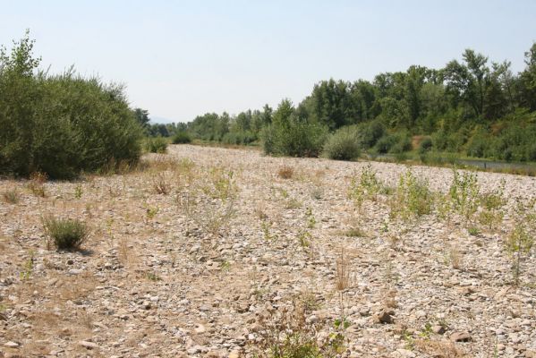 Ilava, 6.8.2013
Štěrkové náplavy Váhu západně od Ilavy.



Schlüsselwörter: Ilava Váh