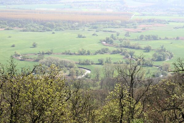 Ipeľské Predmostie, 13.4.2016
Vrch Drienok - pohled na Ryžovisko.
Klíčová slova: Ipeľské Predmostie Ryžovisko vrch Drienok