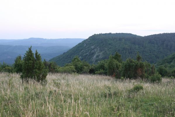 Jablonov nad Turňou, 23.6.2011
Pohled z lesostepi pod vrchem Hradište na Hrušovskou lesostep.
Schlüsselwörter: Slovenský kras Jablonov nad Turňou Hradište Hrušovská lesostep Athous silicensis austriacus