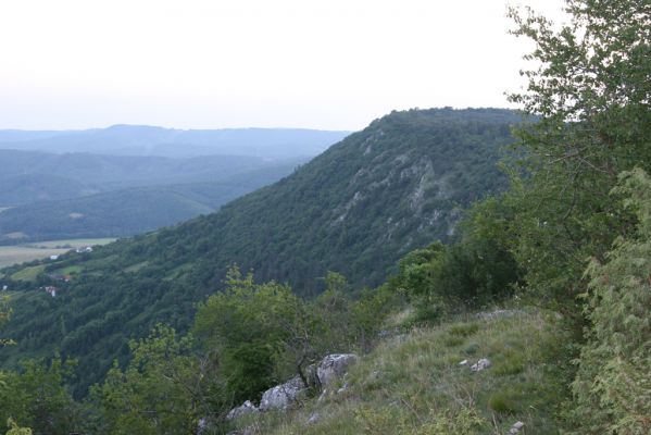 Jablonov nad Turňou, 23.6.2011
Pohled z lesostepi pod vrchem Hradište na Hrušovskou lesostep.



Klíčová slova: Slovenský kras Jablonov nad Turňou Hradište Hrušovská lesostep Athous silicensis