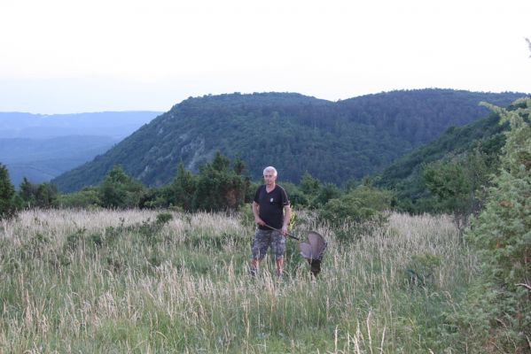 Jablonov nad Turňou, 23.6.2011
Pohled z lesostepi pod vrchem Hradište na Hrušovskou lesostep. Večerní lov kovaříků Athous silicensis a Athous austriacus.

Keywords: Slovenský kras Jablonov nad Turňou Hradište Hrušovská lesostep Athous silicensis austriacus Josef Mertlik