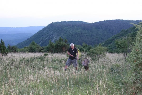 Jablonov nad Turňou, 23.6.2011
Pohled z lesostepi pod vrchem Hradište na Hrušovskou lesostep. Večerní lov kovaříků Athous silicensis a Athous austriacus.

Schlüsselwörter: Slovenský kras Jablonov nad Turňou Hradište Hrušovská lesostep Athous silicensis austriacus Josef Mertlik