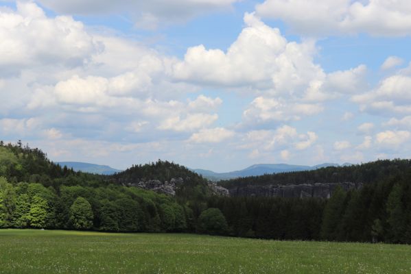 Jívka, 1.6.2019
Janovice - Záboř, pastviny.
Klíčová slova: Jívka Janovice Záboř pastvina