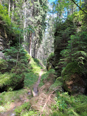 Teplice nad Metují, 9.6.2024
Schlüsselwörter: Teplice nad Metují Adršpašsko-teplické skály Ledová rokle Sericus subaeneus