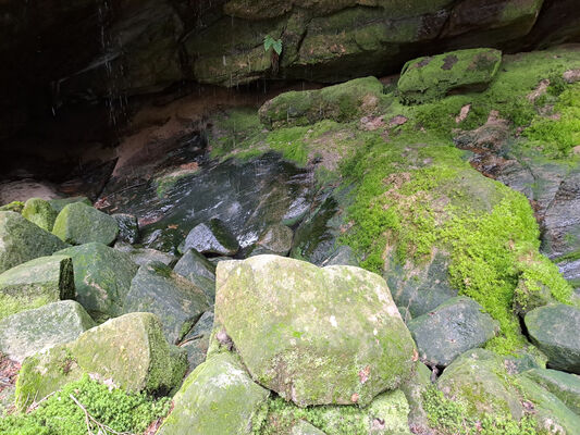 Teplice nad Metují, 9.6.2024
Vlčí vodopád - biotop kovaříka Sericus subaeneus.
Schlüsselwörter: Teplice nad Metují Adršpašsko-teplické skály Ledová rokle Sericus subaeneus