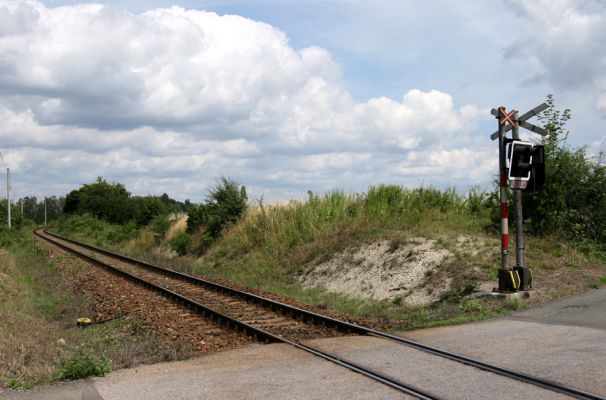 Jaroměř - Na Brdcích, 20.7.2008
Ministep u železničního přejezdu - místo nálezu chroustka Omaloplia alternata
Klíčová slova: Jaroměř Na Brdcích step