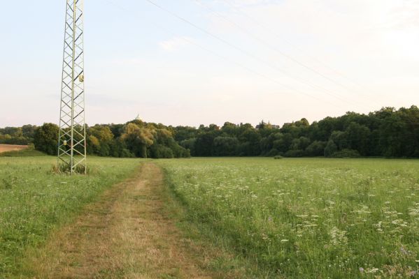 Jaroměř, 19.7.2016
Hořetický Budín - Olšina. Záplavové louky u Labe. Pohled od Hořína.



Klíčová slova: Jaroměř Labe Hořetický Budín Olšina