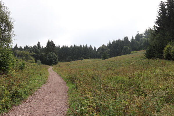 Sokołowsko, 25.8.2022
Przełęcz Trzech Dolin.
Schlüsselwörter: Javoří hory