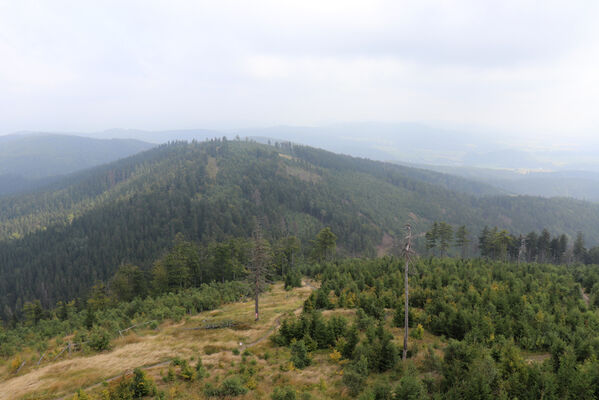 Ruprechtice, 25.8.2022
Rupretechtický Špičák - pohled na Široký vrch.
Klíčová slova: Javoří hory