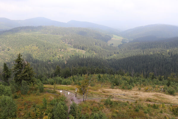 Ruprechtice, 25.8.2022
Rupretechtický Špičák pohled na Radosnu.
Klíčová slova: Javoří hory