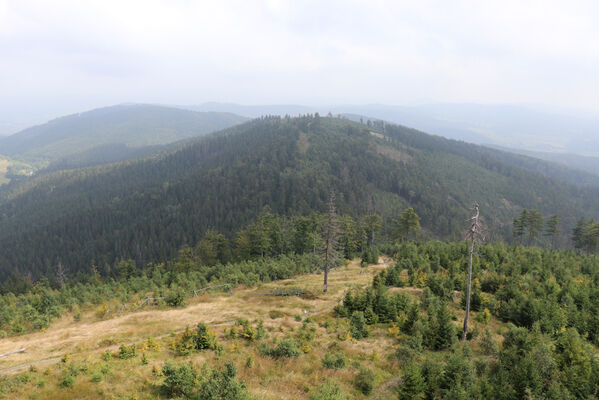 Ruprechtice, 25.8.2022
Rupretechtický Špičák - pohled na východní část Javořích hor.
Mots-clés: Javoří hory