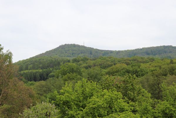 Vysoká Pec, 24.5.2021
Vrch Jedlová - pohled od Vysoké Pece.
Mots-clés: Vysoká Pec vrch Jedlová