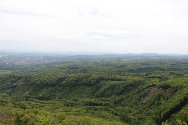 Vysoká Pec, 24.5.2021
Vrch Jedlová - Kraví skály. Pohled na listnaté lesy nad Jirkovem.
Klíčová slova: Vysoká Pec vrch Jedlová Kraví skály Jirkov Drmaly Červený Hrádek