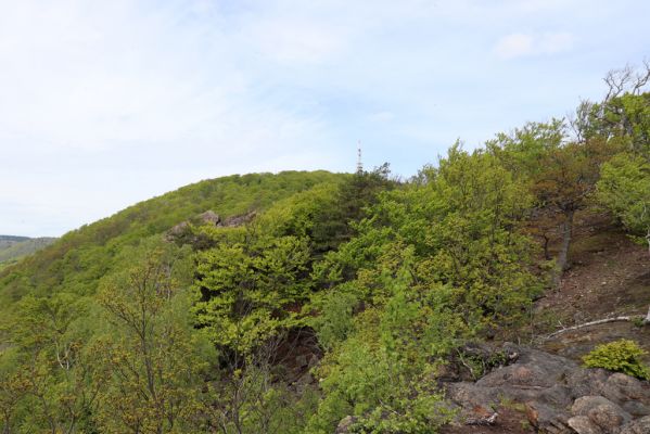 Vysoká Pec, 24.5.2021
Vrch Jedlová - Kraví skály. Pohled na vrchol.
Klíčová slova: Vysoká Pec vrch Jedlová Kraví skály