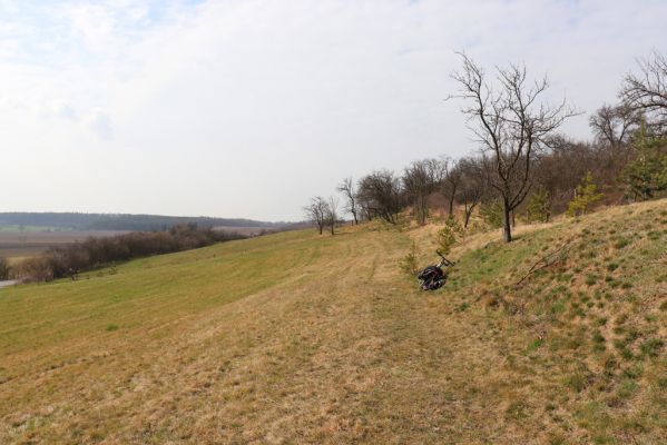 Jeníkovice, 19.3.2020
Mez na vrchu Turek.
Schlüsselwörter: Jeníkovice Turek
