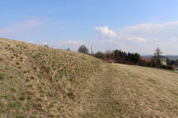 Jeníkovice, 19.3.2020
Mez u vrchu Turek.
Klíčová slova: Jeníkovice Turek