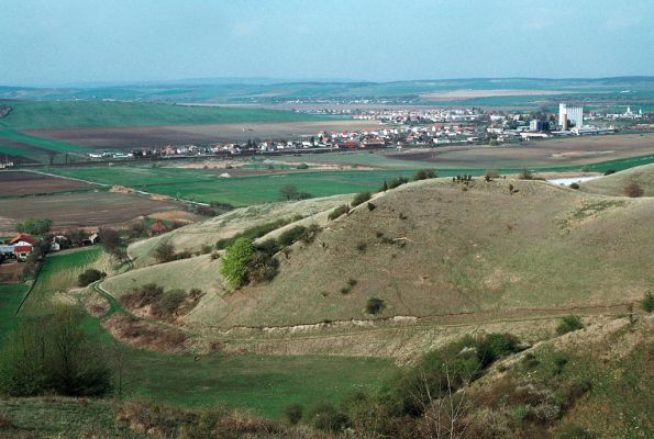 Jesenské, Cifra, 22.4.2006
Pastviny pod Prednou horou.
Mots-clés: Jesenské Cifra Predná hora Limonius poneli Cidnopus pilosus Selatosomus latus