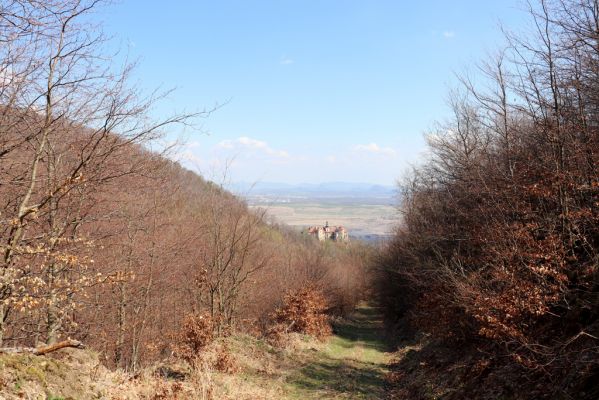 Horní Jiřetín, 21.4.2021
Jezeří, cesta zarůstajícími holosečemi svahem Jánského vrchu.
Schlüsselwörter: Krušné hory Jezerské lesy Horní Jiřetín Jezeří údolí Šramnického potoka Jánský vrch