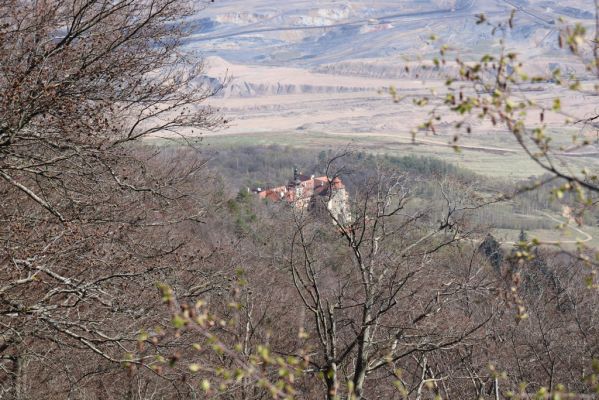 Horní Jiřetín, 21.4.2021
Jezeří, suťový les nad zámkem.
Klíčová slova: Krušné hory Jezerské lesy Horní Jiřetín Jezeří zámek