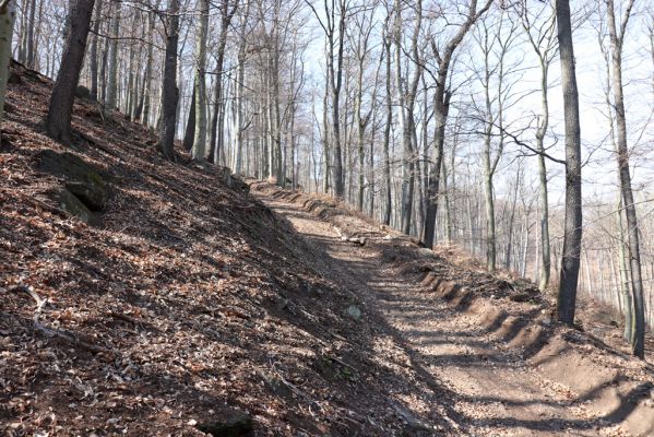 Horní Jiřetín, 21.4.2021
Jezeří, těžařská cesta na hřbetu nad zámkem.
Klíčová slova: Krušné hory Jezerské lesy Horní Jiřetín Jezeří