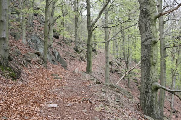 Horní Jiřetín, 24.4.2015
Jezeří, Jánský vrch.
Klíčová slova: Horní Jiřetín Jezeří Jánský vrch