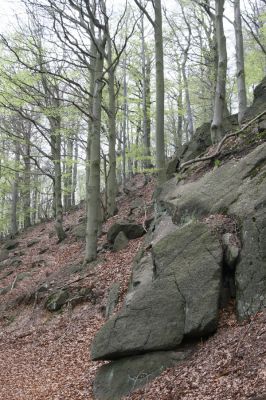 Horní Jiřetín, 24.4.2015
Jezeří, Jánský vrch.
Klíčová slova: Horní Jiřetín Jezeří Jánský vrch