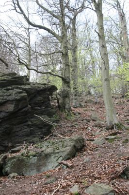 Horní Jiřetín, 24.4.2015
Jezeří, Jánský vrch.
Klíčová slova: Horní Jiřetín Jezeří Jánský vrch
