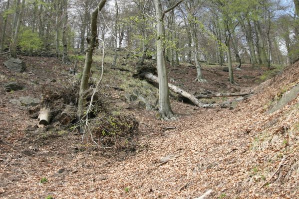 Horní Jiřetín, 24.4.2015
Jezeří, Jánský vrch.
Klíčová slova: Horní Jiřetín Jezeří Jánský vrch