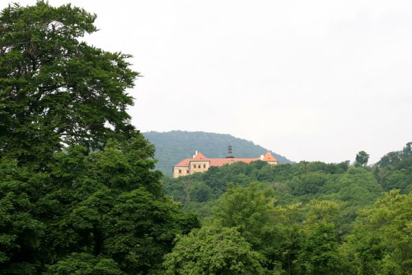 Horní Jiřetín, Jezeří, Jezeřské arboretum, 26.5.2008
Pohled z arboreta na zámek.
Klíčová slova: Krušné hory Horní Jiřetín Jezeří Jezeřské arboretum