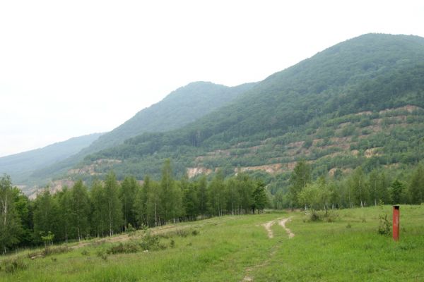 Horní Jiřetín, Jezeří, 26.5.2008
Pohled od arboreta na Jánský vrch a Jezerku.
Klíčová slova: Krušné hory Horní Jiřetín Jezeří Jánský vrch Jezerka