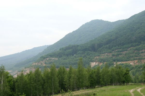 Horní Jiřetín, Jezeří, 26.5.2008
Pohled od okraje arboreta na Jezerku.
Klíčová slova: Krušné hory Horní Jiřetín Jezeří Jezerka