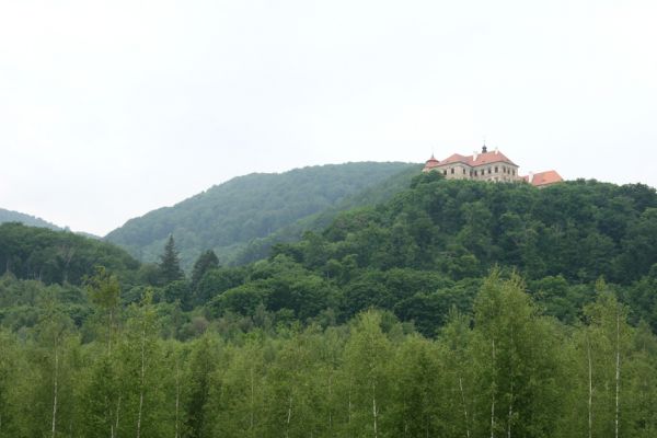 Horní Jiřetín, Jezeří, 26.5.2008
Pohled od arboreta na zámek Jezeří a údolí Šramnického potoka.
Klíčová slova: Krušné hory Horní Jiřetín Jezeří Šramnický potok