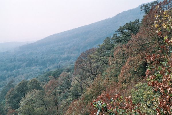 Jezerka, 12.10.2006
Pohled ze skal na jihovýchodním svahu Jezerky na svahy vrchu Jedlová.
Klíčová slova: Krušné hory Horní Jiřetín Jezeří Jezerka