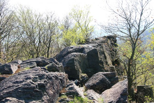 Horní Jiřetín, 20.4.2018
Jezerka - vrcholová skála (707m).
Klíčová slova: Horní Jiřetín Jezerka Anostirus bohemicus