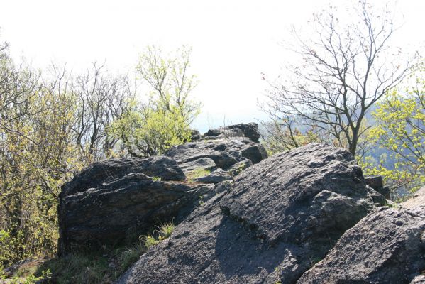Horní Jiřetín, 20.4.2018
Jezerka - vrcholová skála (707m).
Schlüsselwörter: Horní Jiřetín Jezerka Anostirus bohemicus