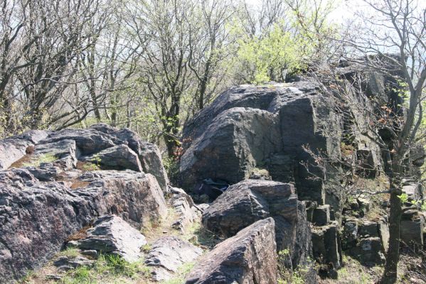 Horní Jiřetín, 20.4.2018
Jezerka - vrcholová skála (707m).
Klíčová slova: Horní Jiřetín Jezerka Anostirus bohemicus